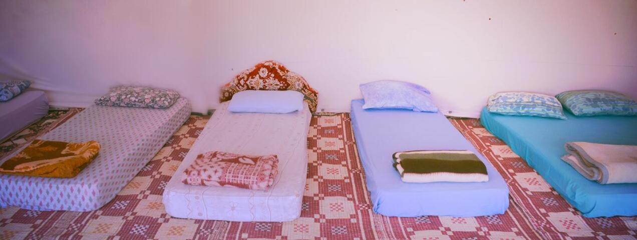 Silent Arrow Otel Mitzpe Ramon Oda fotoğraf