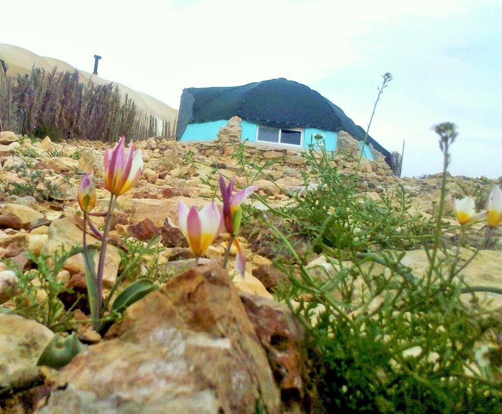 Silent Arrow Otel Mitzpe Ramon Dış mekan fotoğraf